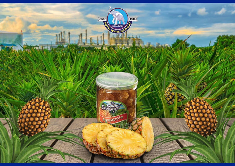 ဆင်ဖြူတော် နာနတ်ယို